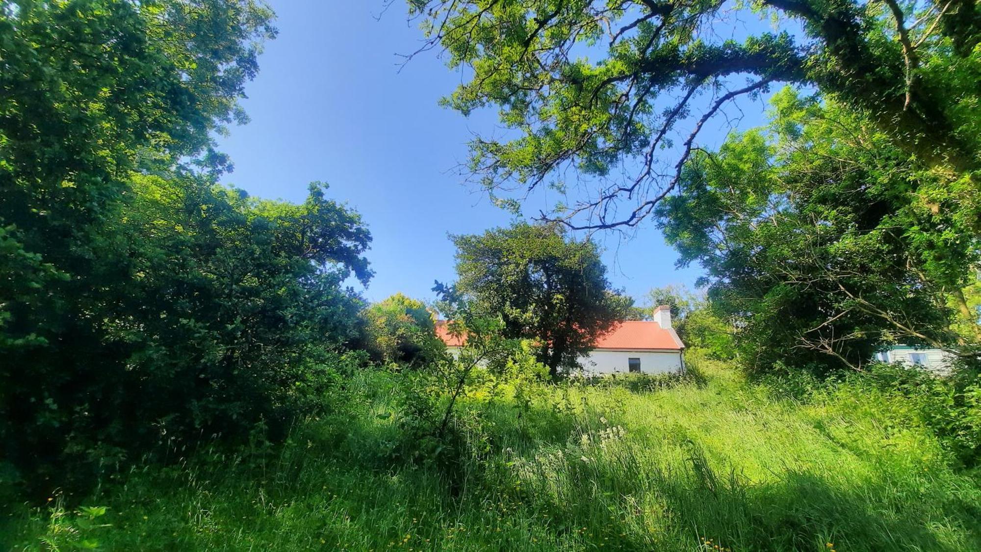 -Going Back In Time- 200 Year Old Farmhouse Creegh Zewnętrze zdjęcie